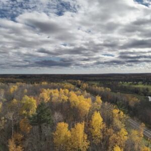 2.00 acres in Radisson, WI (Sawyer County) - APN 004-738-07-4404 (photo 17)